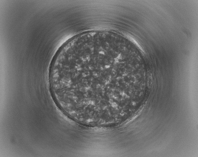 X0000114641087200911171025