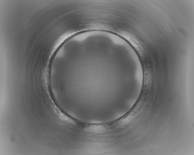 X0000114641094200911171025