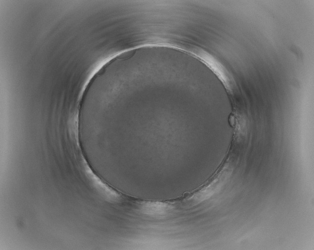 X0000114641100200911171025