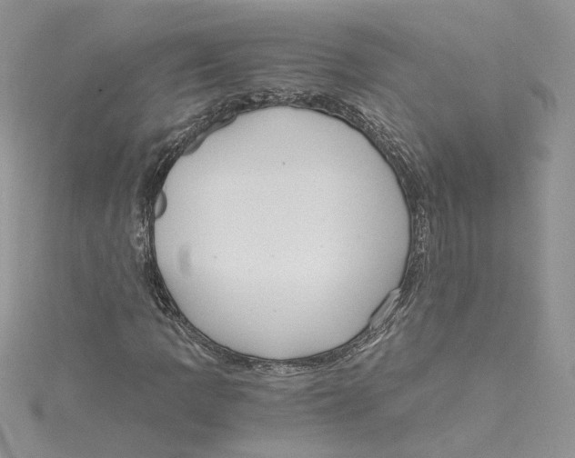 X0000114641109200911171024