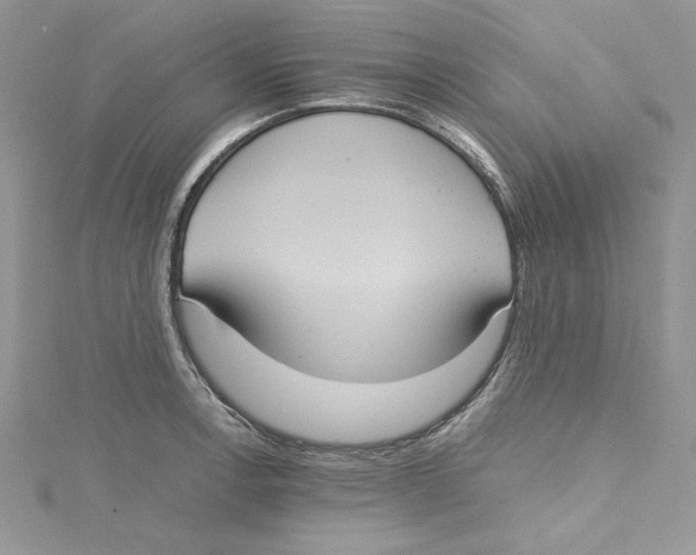 X0000114641138200911171025
