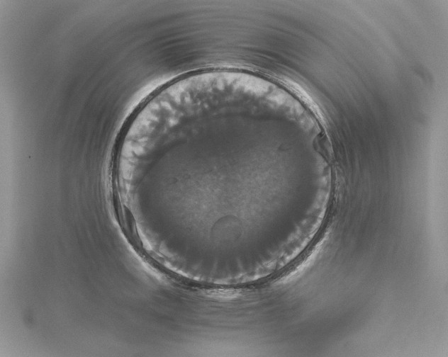 X0000114641141200911171025