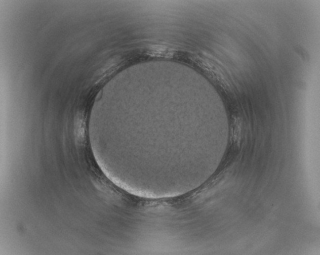 X0000114641154200911171024