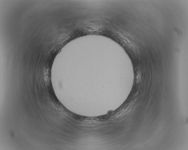 X0000114641156200911171024