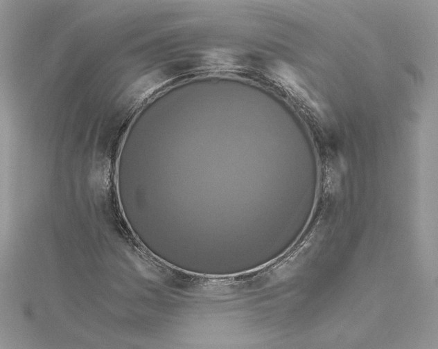 X0000114641161200911171024