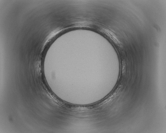 X0000114641164200911171024