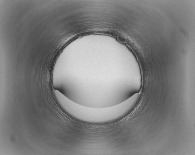 X0000114641169200911171024