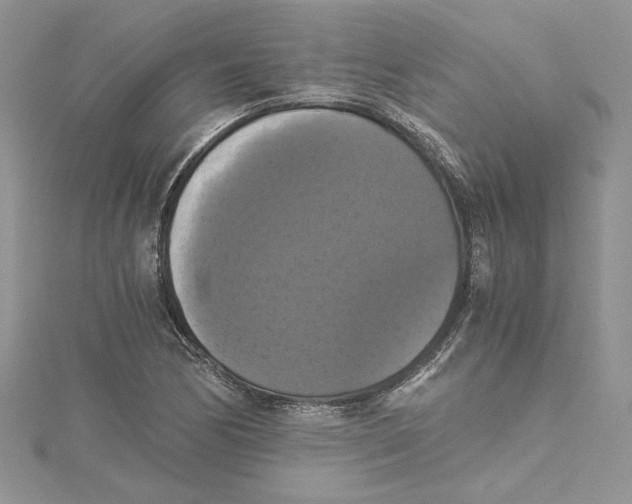 X0000114641170200911171024