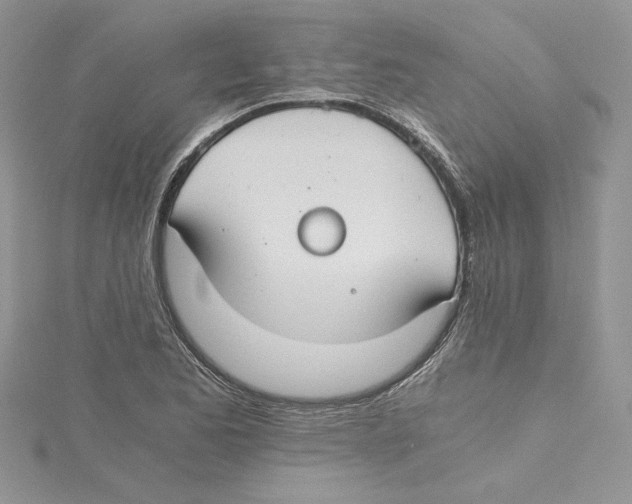 X0000114641173200911171024