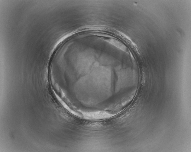 X0000114641174200911171024