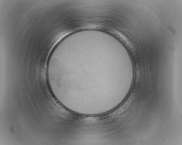 X0000114641178200911171024