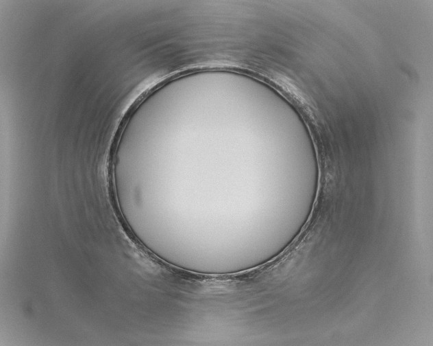 X0000114641181200911171024