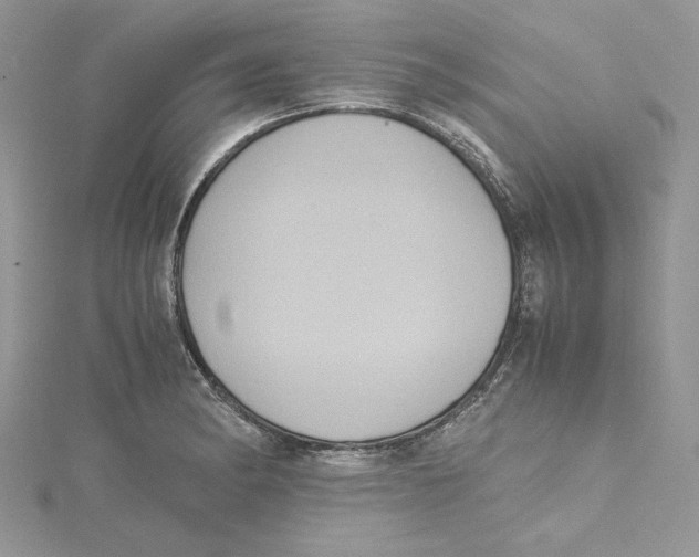 X0000114641182200911171024