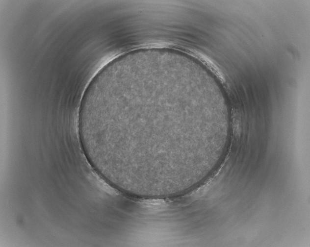 X0000114641186200911171024
