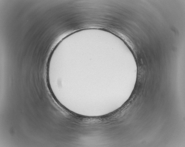 X0000114641187200911171024