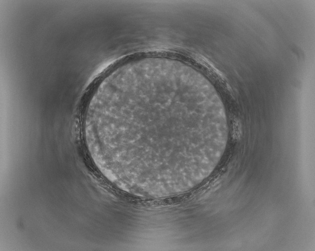 X0000114641208200911171023