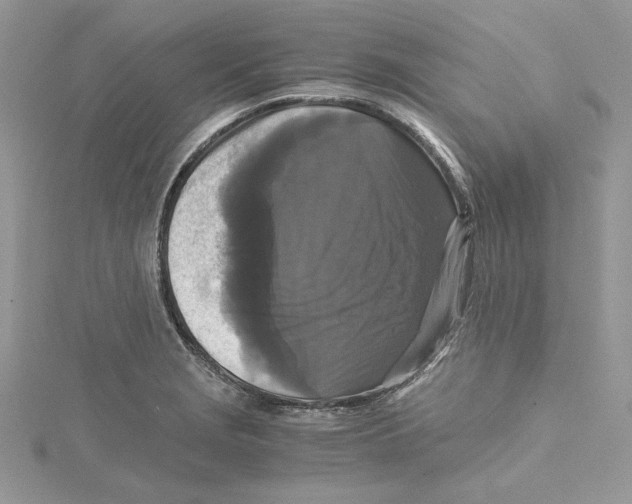 X0000114641229200911171023