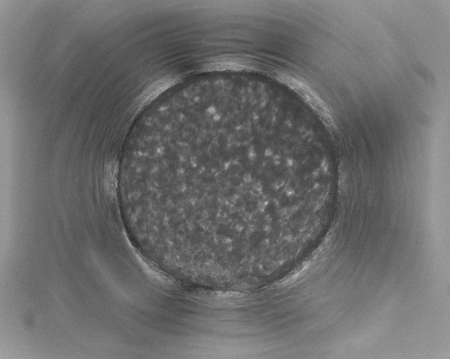 X0000114641233200911171023