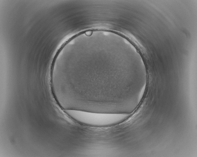 X0000114641240200911171024