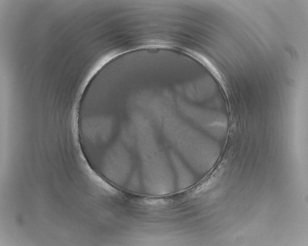 X0000114641243200911171024