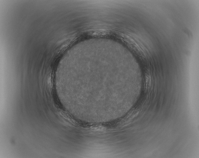 X0000114641250200911171023