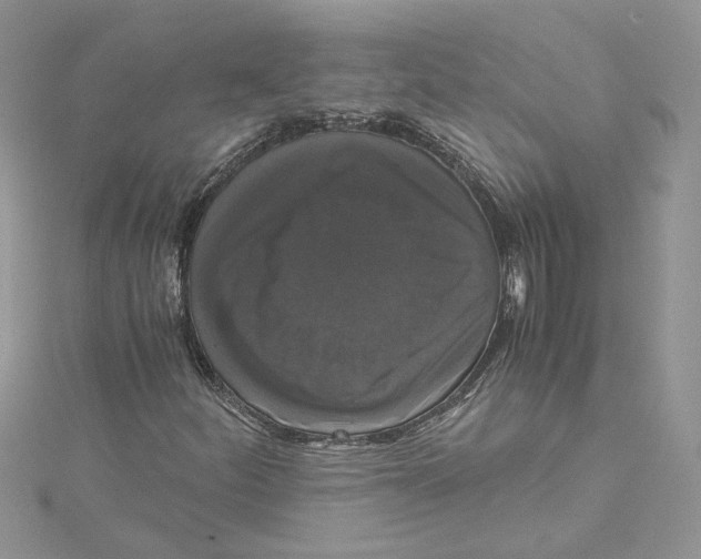 X0000114641252200911171023