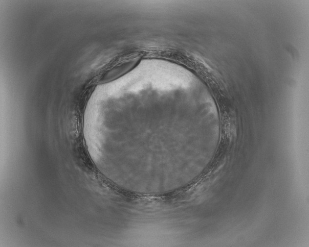 X0000114641253200911171023