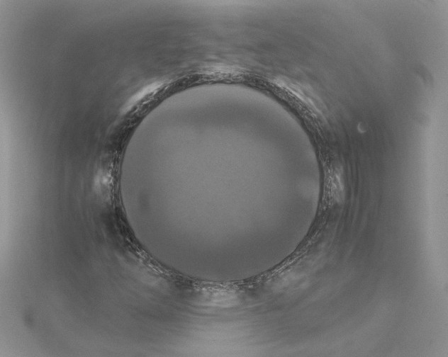 X0000114641254200911171023