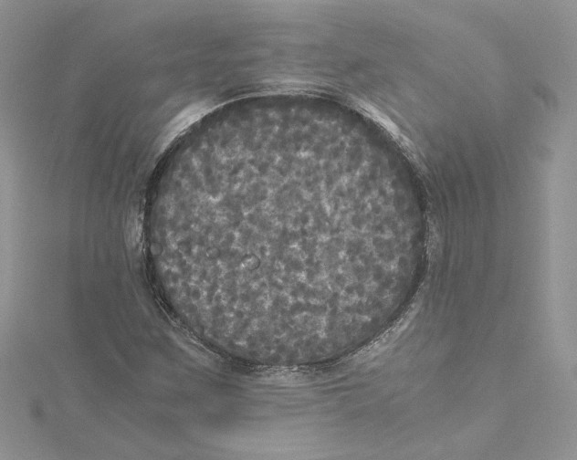 X0000114641259200911171023