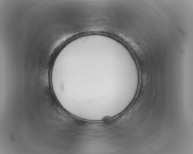 X0000114641262200911171023