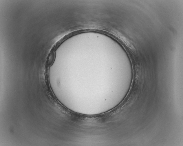 X0000114641264200911171023