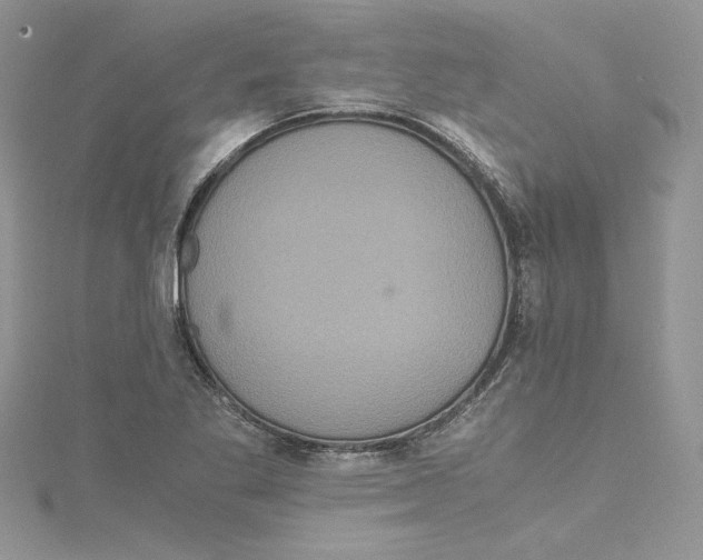 X0000114641269200911171023