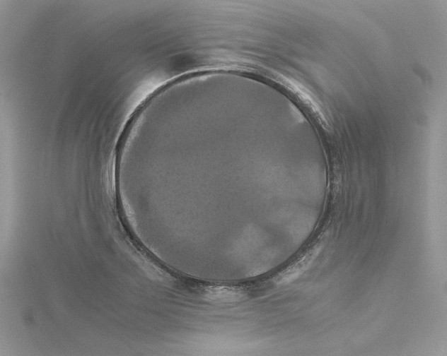 X0000114641275200911171023