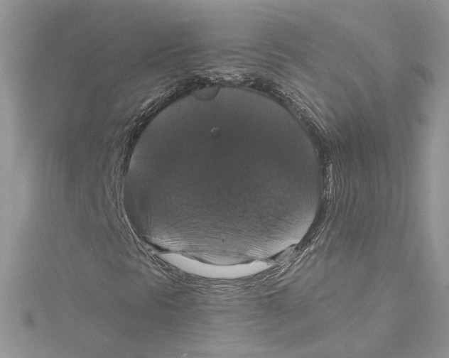 X0000114641297200911171022