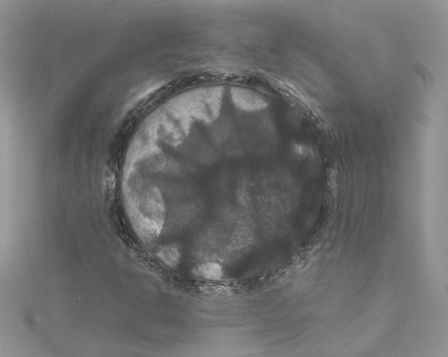 X0000114641302200911171022