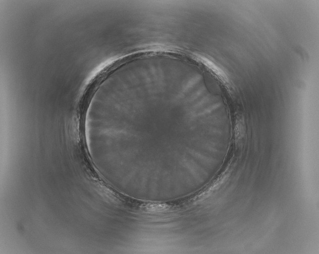 X0000114641310200911171022