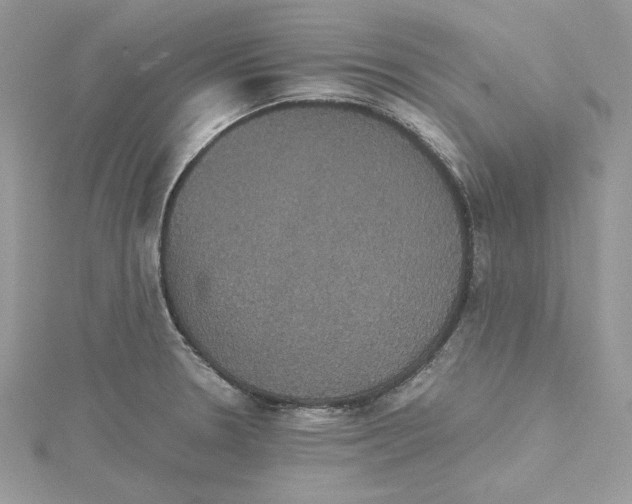 X0000114641330200911171022