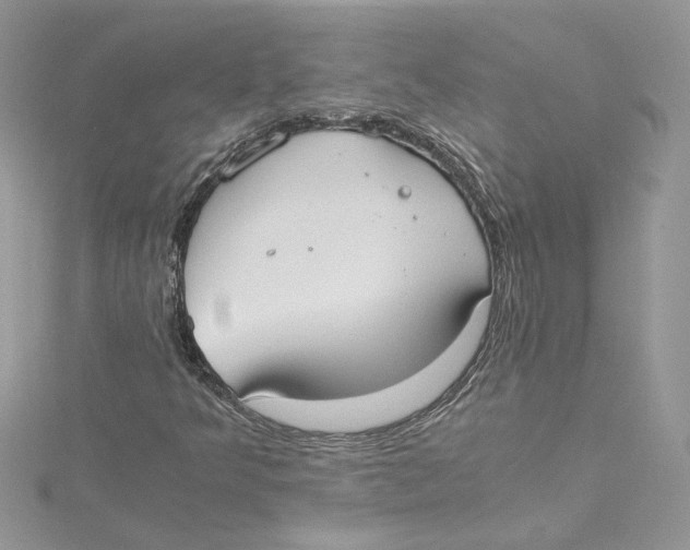 X0000114641349200911171022
