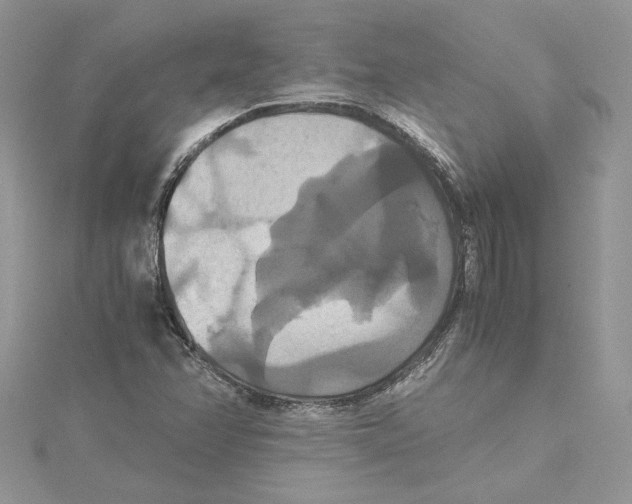 X0000114641358200911171022
