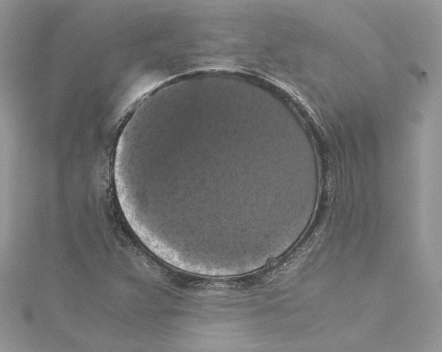 X0000114641359200911171022