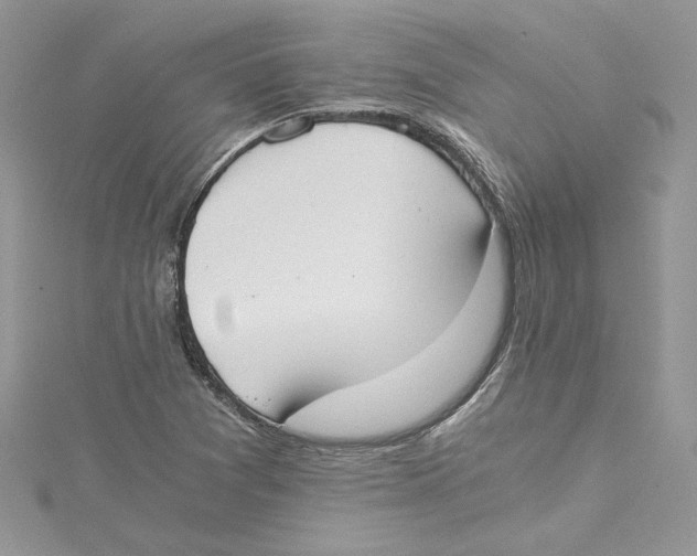 X0000114641361200911171022