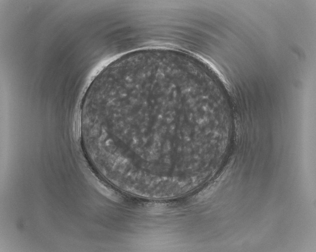 X0000114641371200911171021