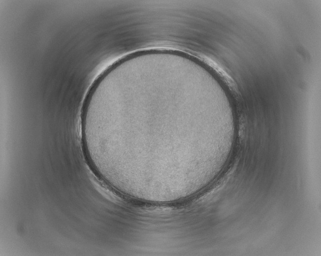 X0000114641372200911171021
