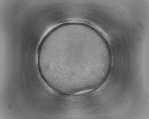 X0000114641376200911171021