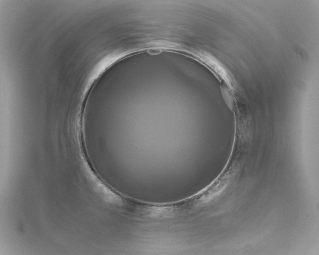 X0000114641381200911171021