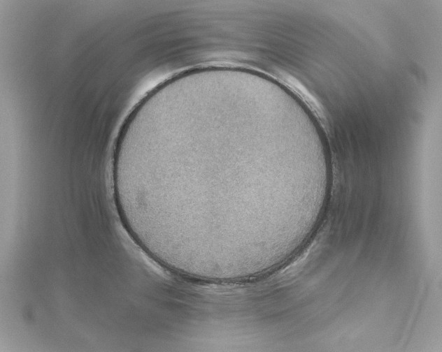 X0000114641384200911171021