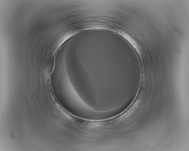 X0000114641385200911171021