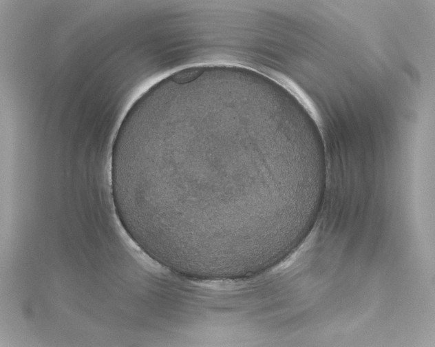 X0000114641388200911171021