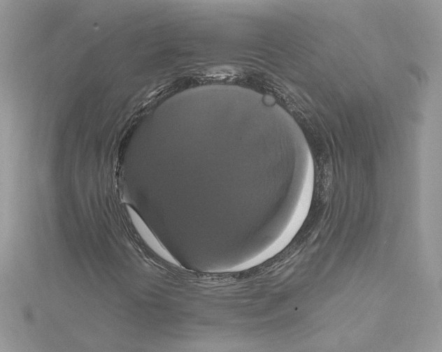 X0000114641394200911171020