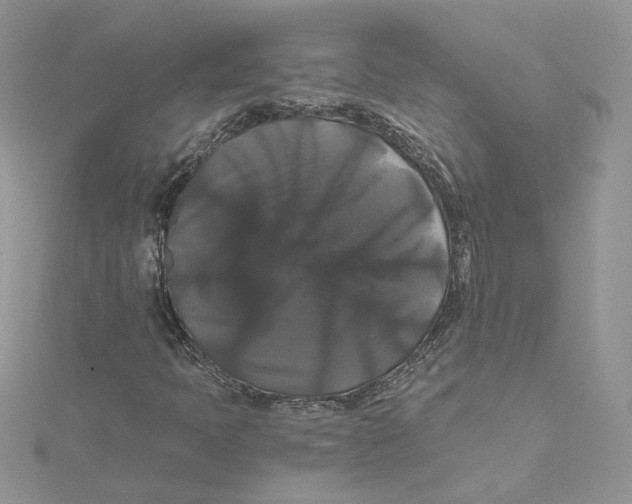 X0000114641397200911171020